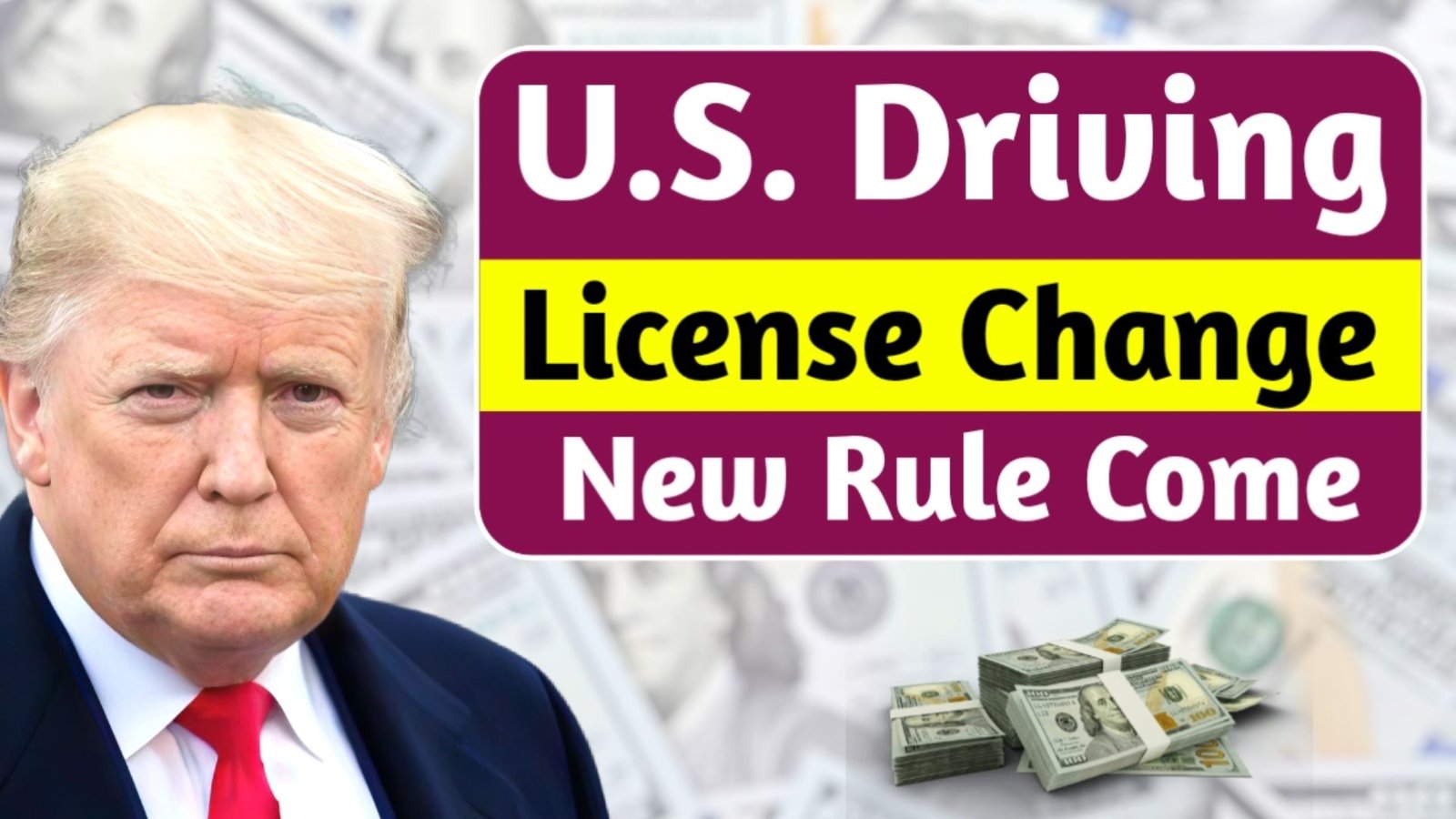 U.S. Driving License